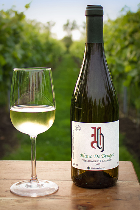 Blanc de Bruges 2023 - wijndomein t neerhof