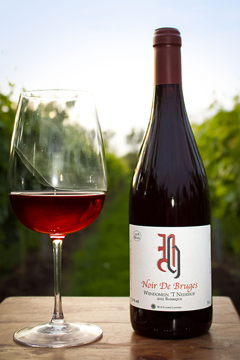 Rode wijn gemaakt in Brugge - Noir de Bruges